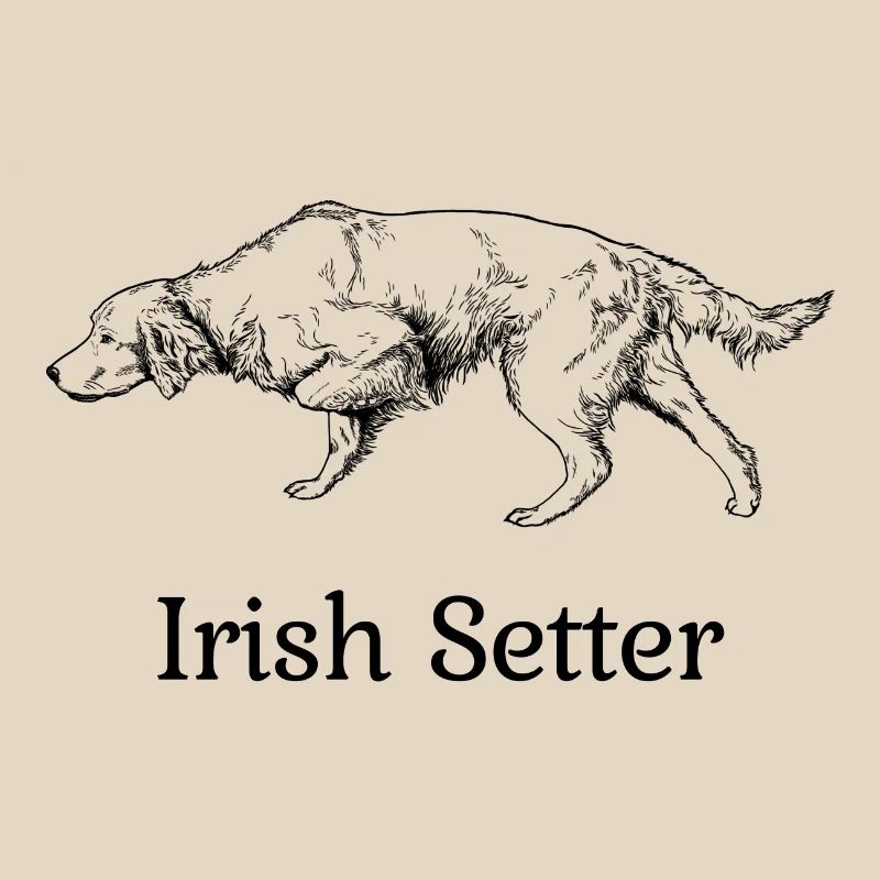 Irish Setter above