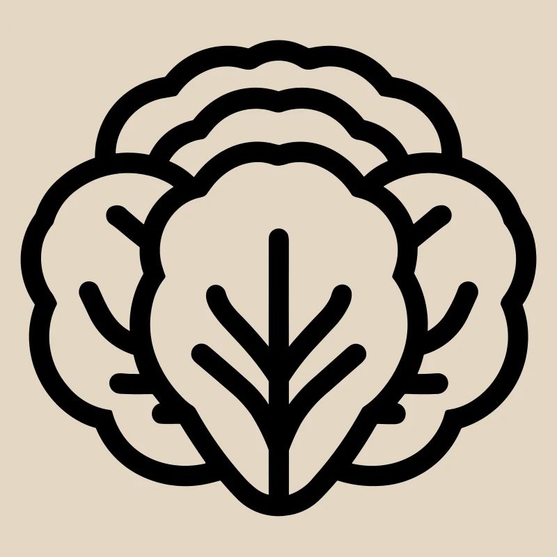 cabbage