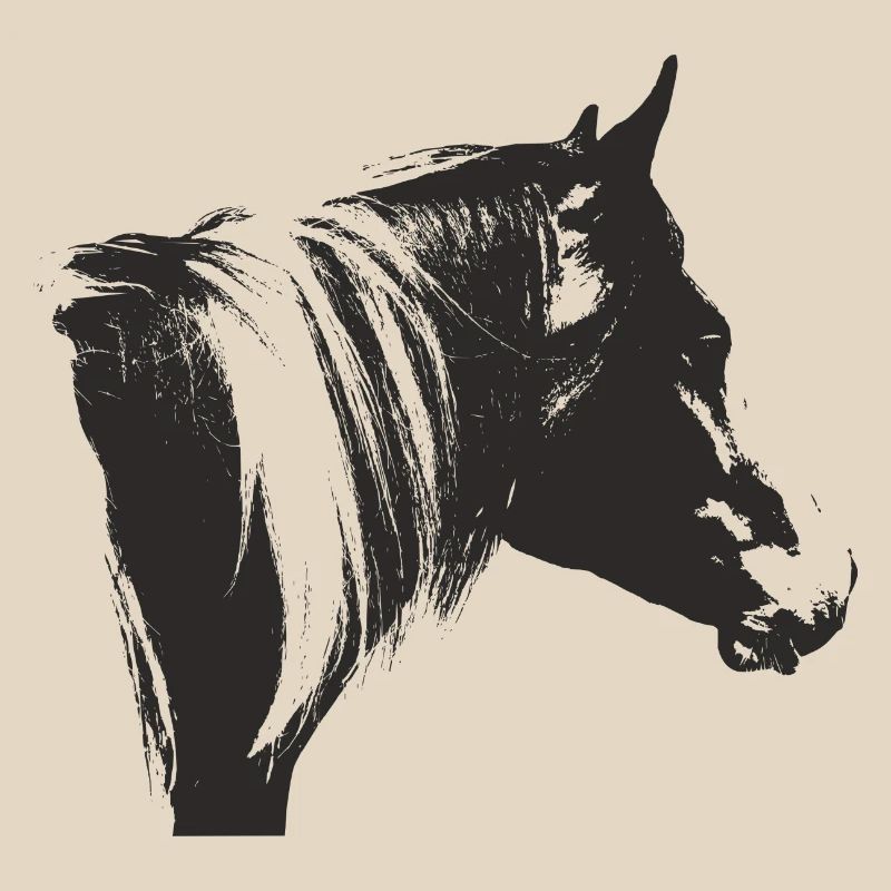 Lewitzer Schecke, Cheval Schecke, Équitation Pinto