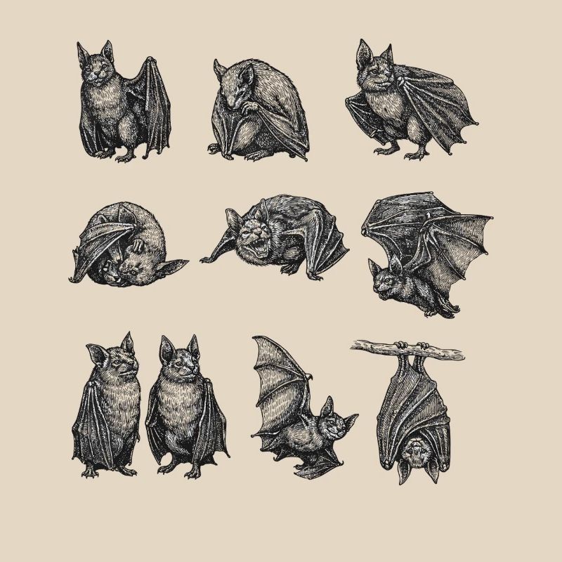 Night Bat Silhouettes Pattern