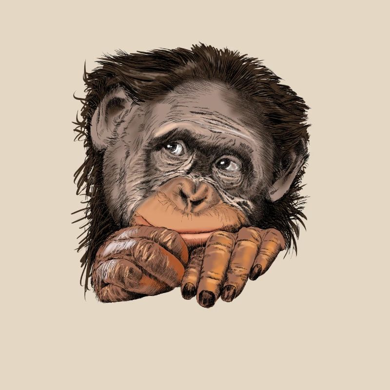 Monkey