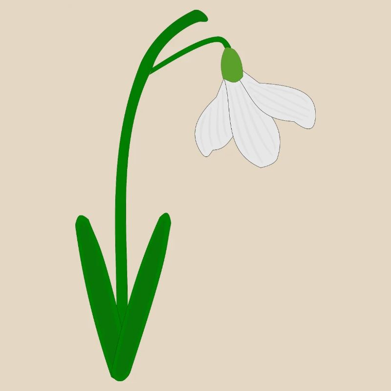 Perce-neige Mois de naissance de janvier Fleur Anniversaire