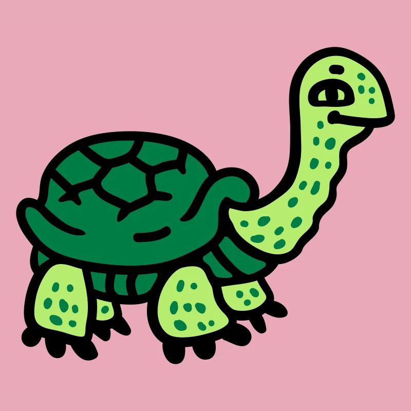 Tortue 3