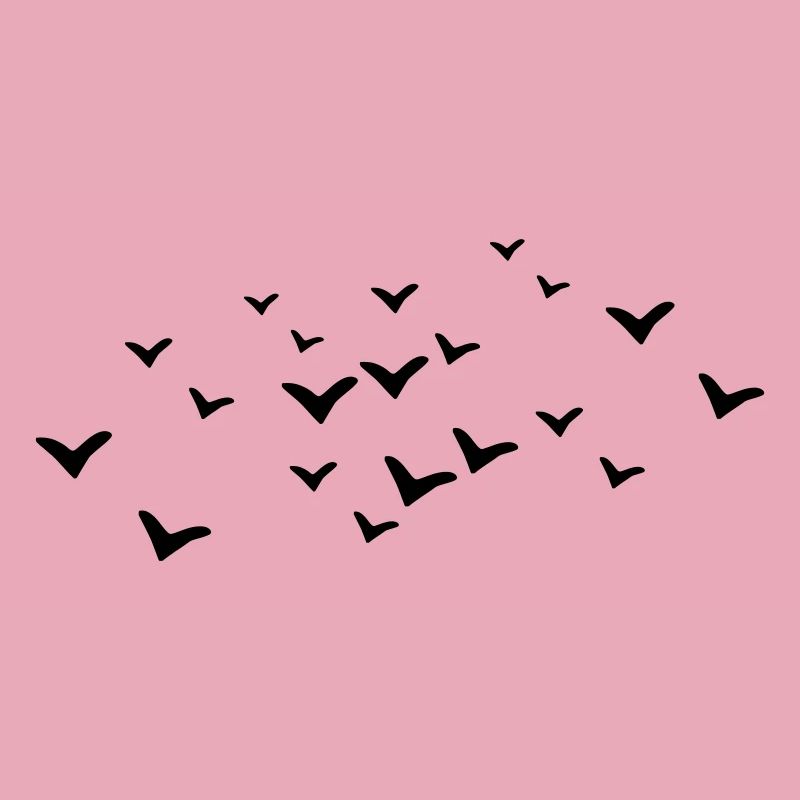 Oiseaux