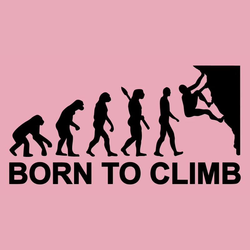 Évolution Escalade