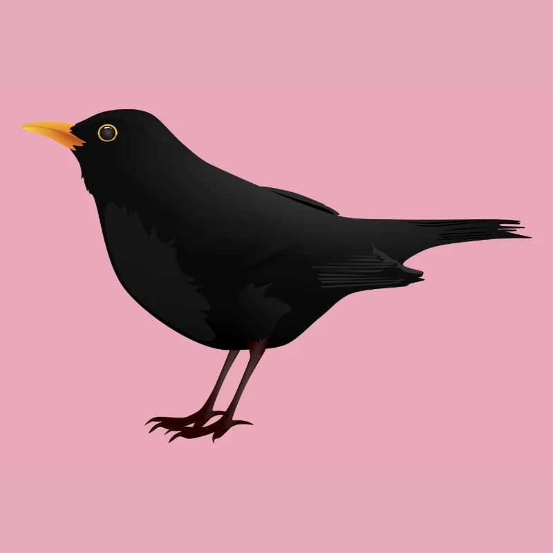 Amsel Drossel Star Vogel Geschenk Geschenkidee