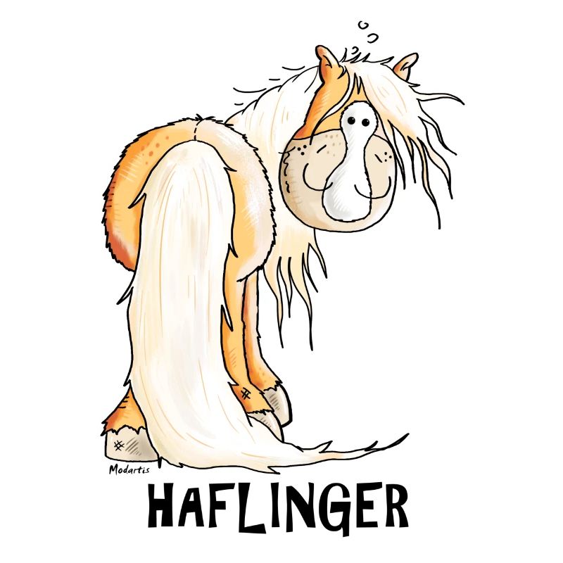 Drôle Haflinger Cheval