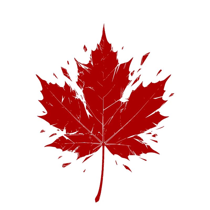 Red Maple Leaf Fragmented