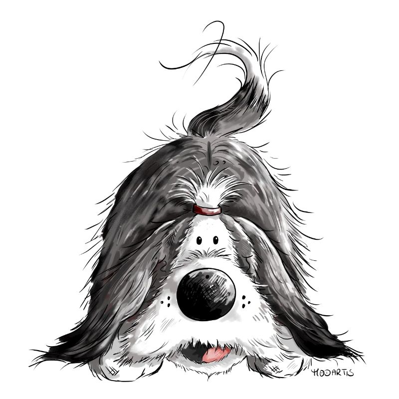 Fröhlicher Bearded Collie
