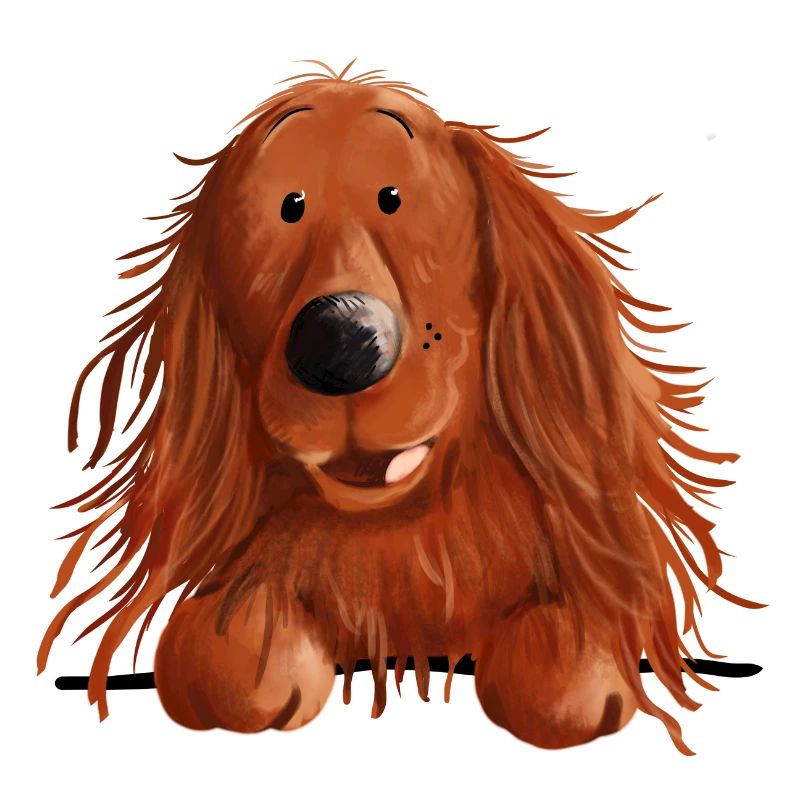 Neugieriger Irish Setter