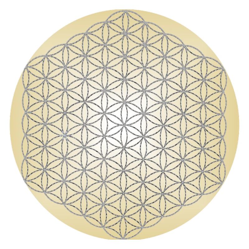Blume des Lebens Silber - 5. Dimension - Mandala