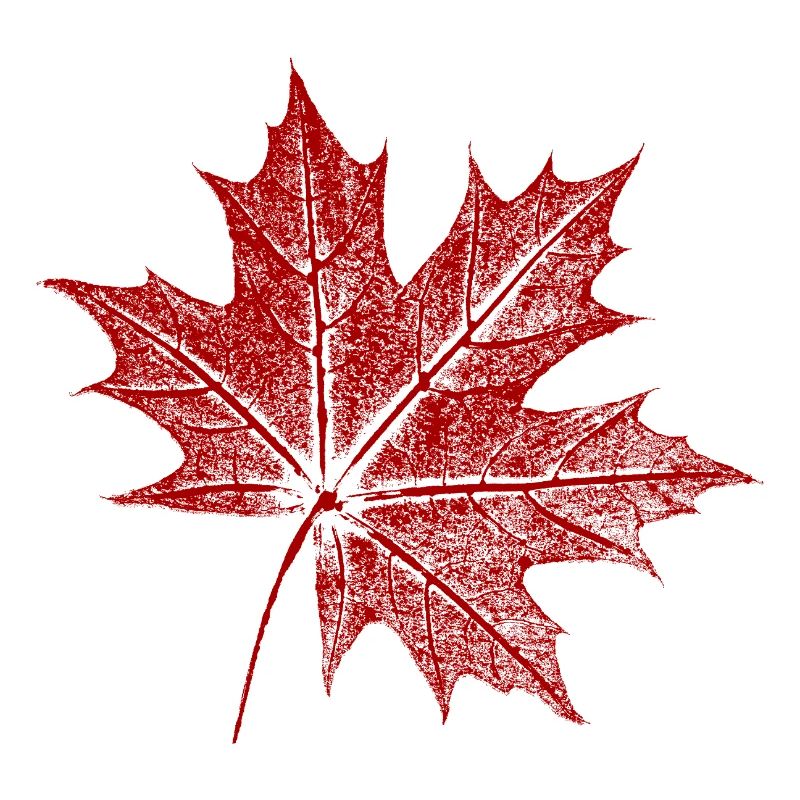 Maple leaf