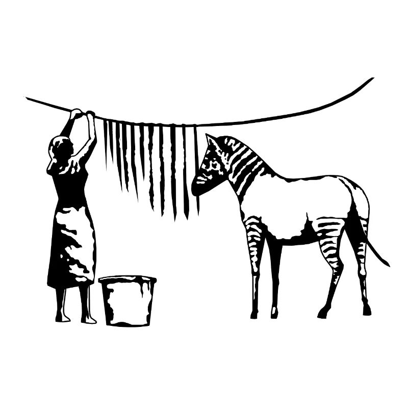 Funny Zebra Stripes