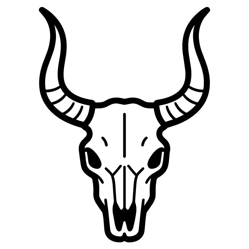 Stierschädel
