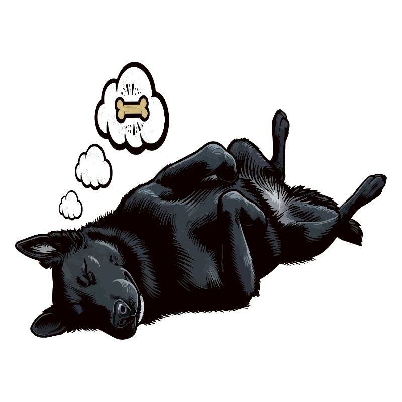 Propriétaire de Black Shepherd