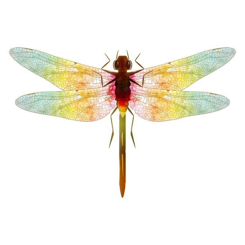 Libellule irisée – motif insecte en filigrane