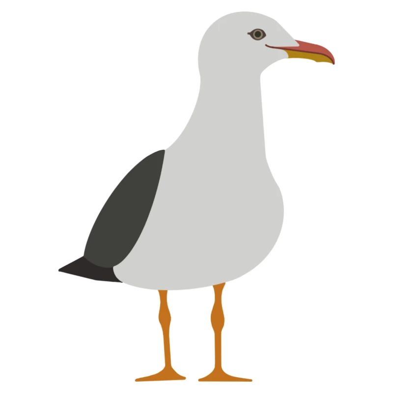 Mouette
