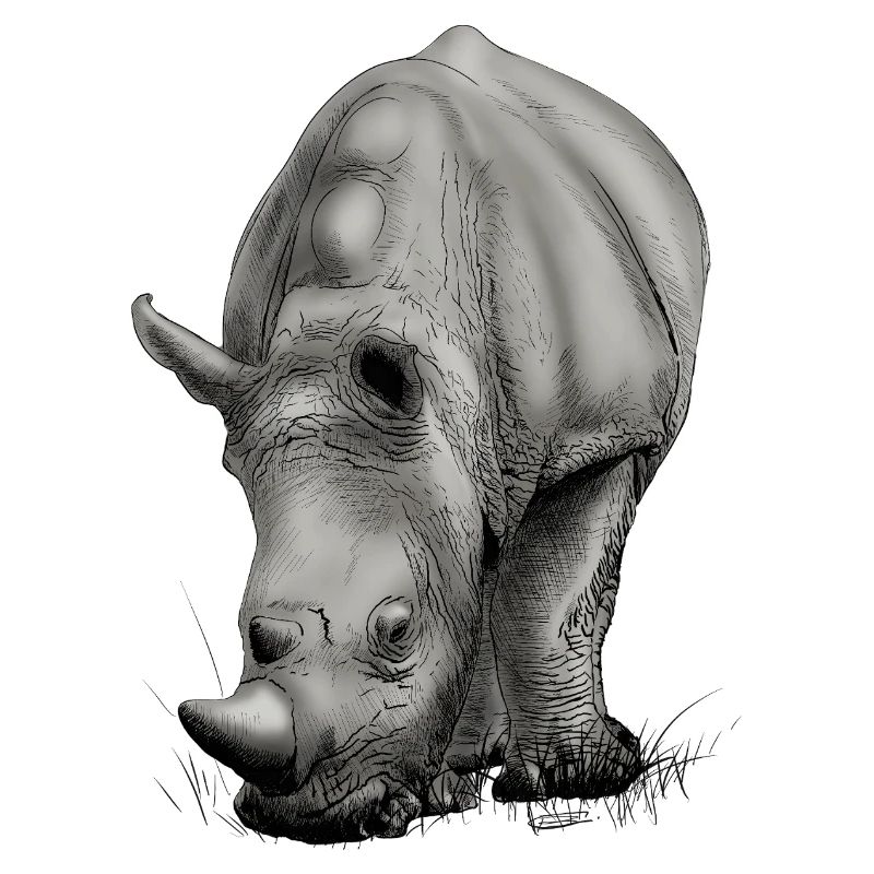 Realistic Rhino creative design