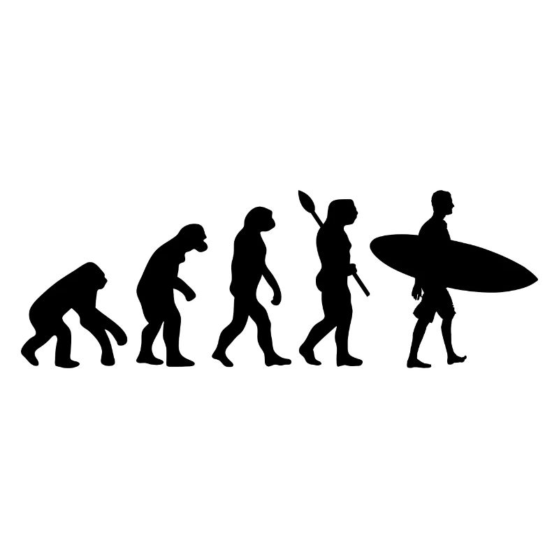 Surfer Lustig Menschliche Evolution