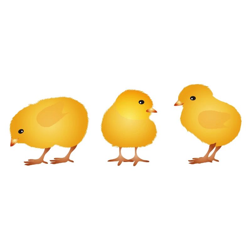 Chick – Cute Spring and Easter Motif