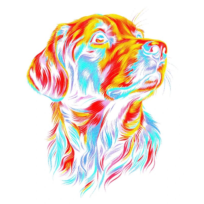 Chiens