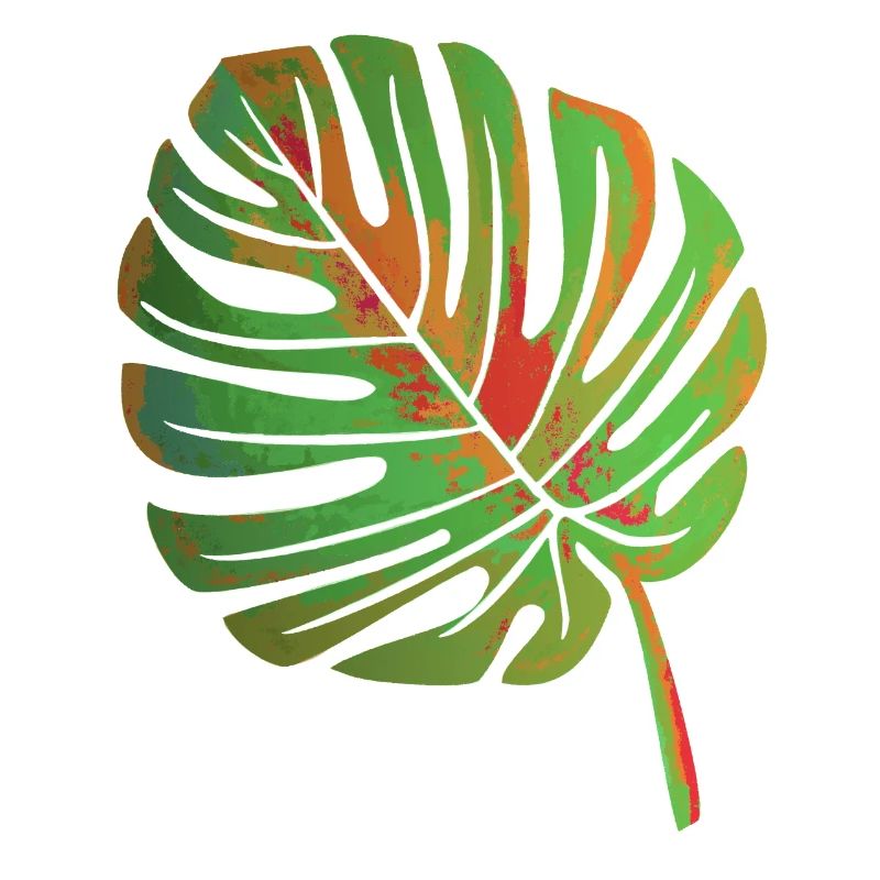 Monstera Blatt