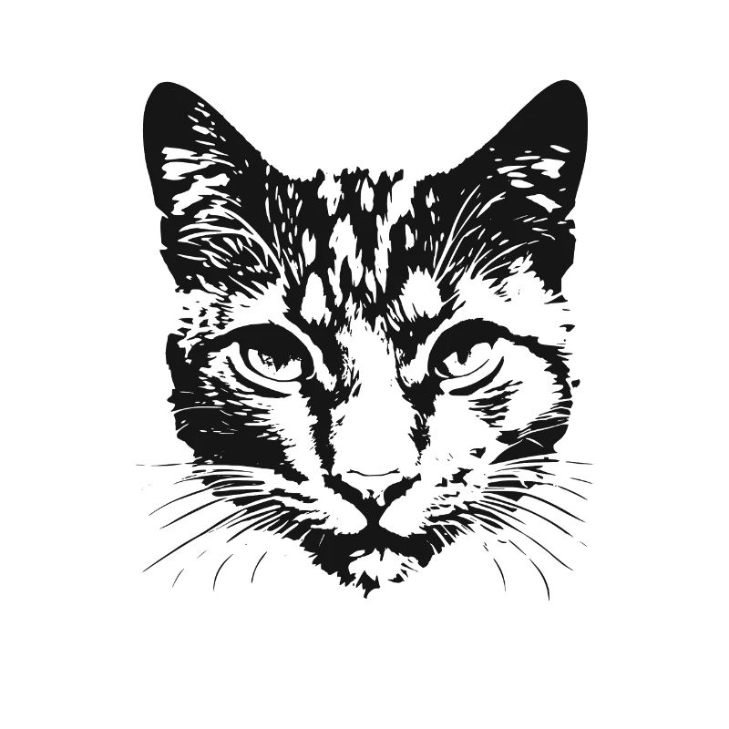 Katze 6