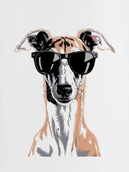 Greyhound Windhund