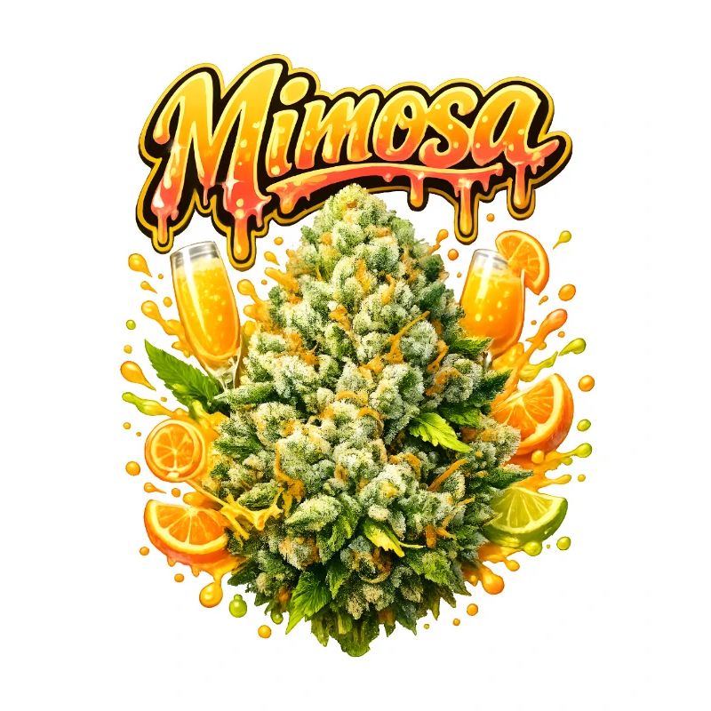 Mimosa-Graffiti-Druck
