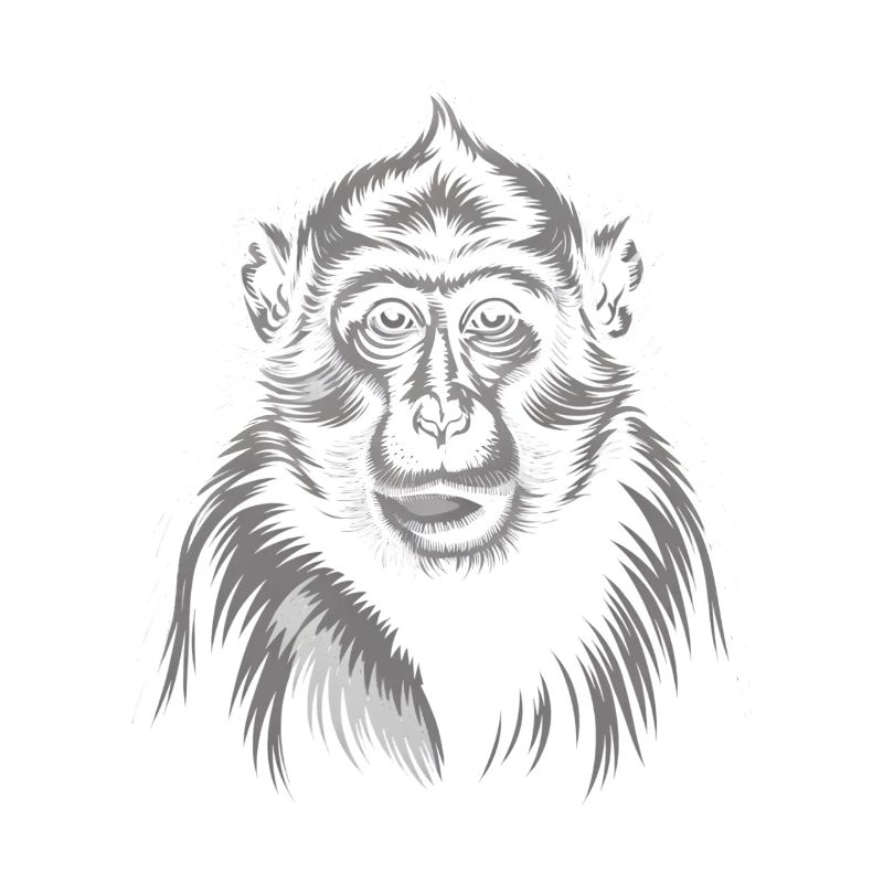 Gray Monkey