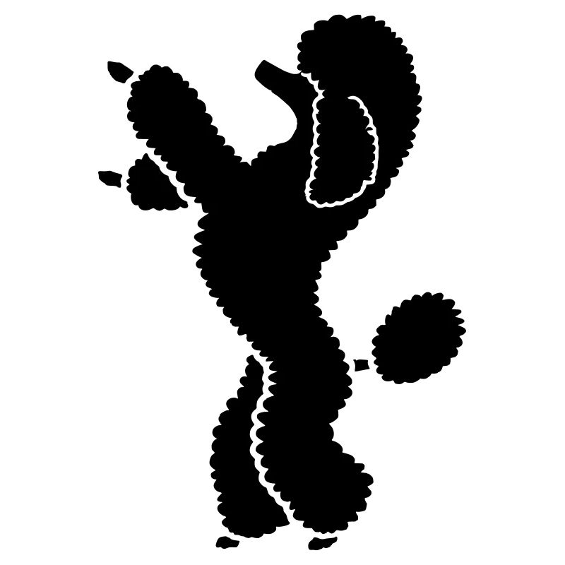 Pudel poodle