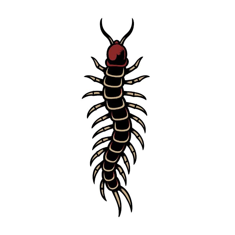 Centipede