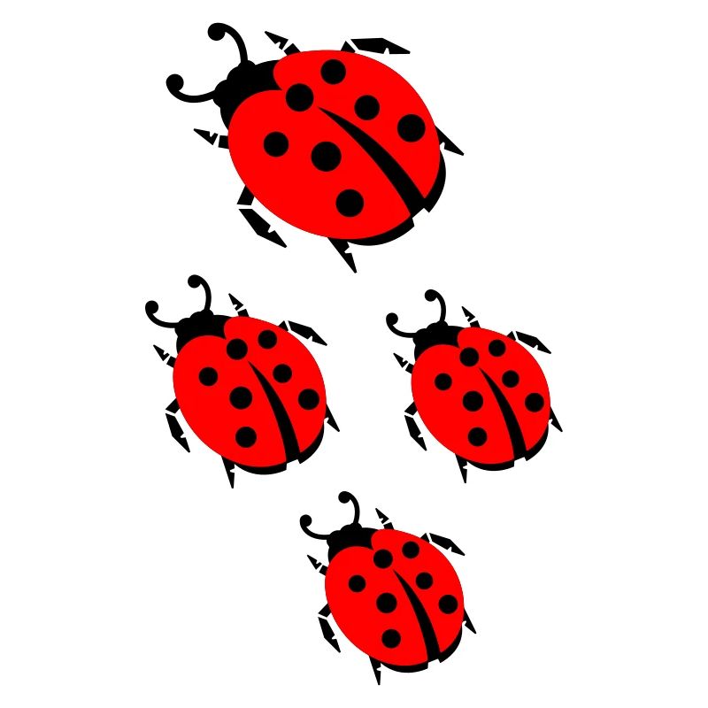 ladybug marienkaefer