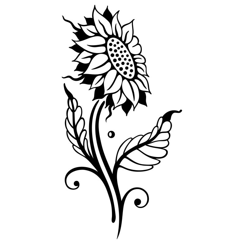 Sunflower Sun Summer