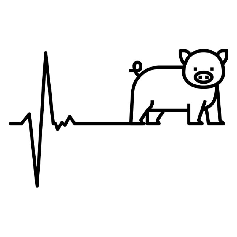 Herzschlag Schwein