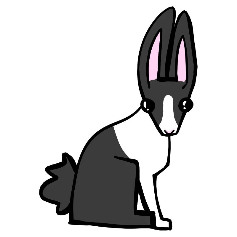 lapin