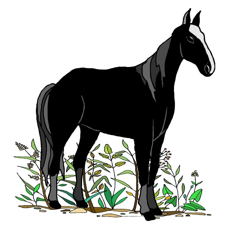 Pferd
