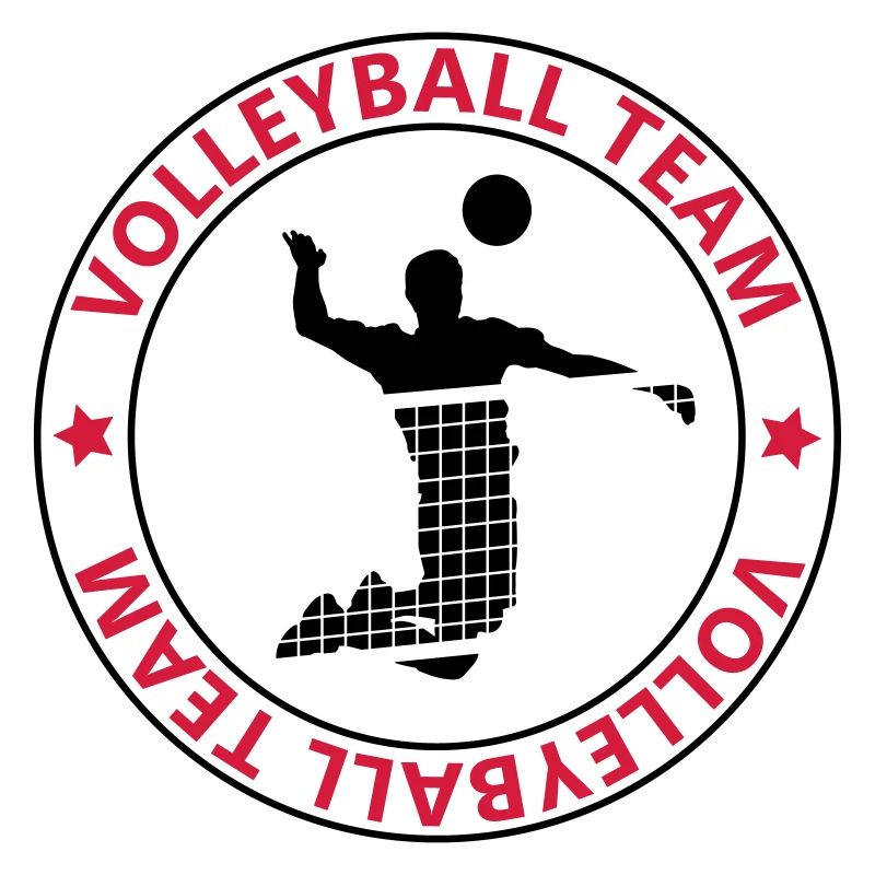 l'équipe de volley-ball