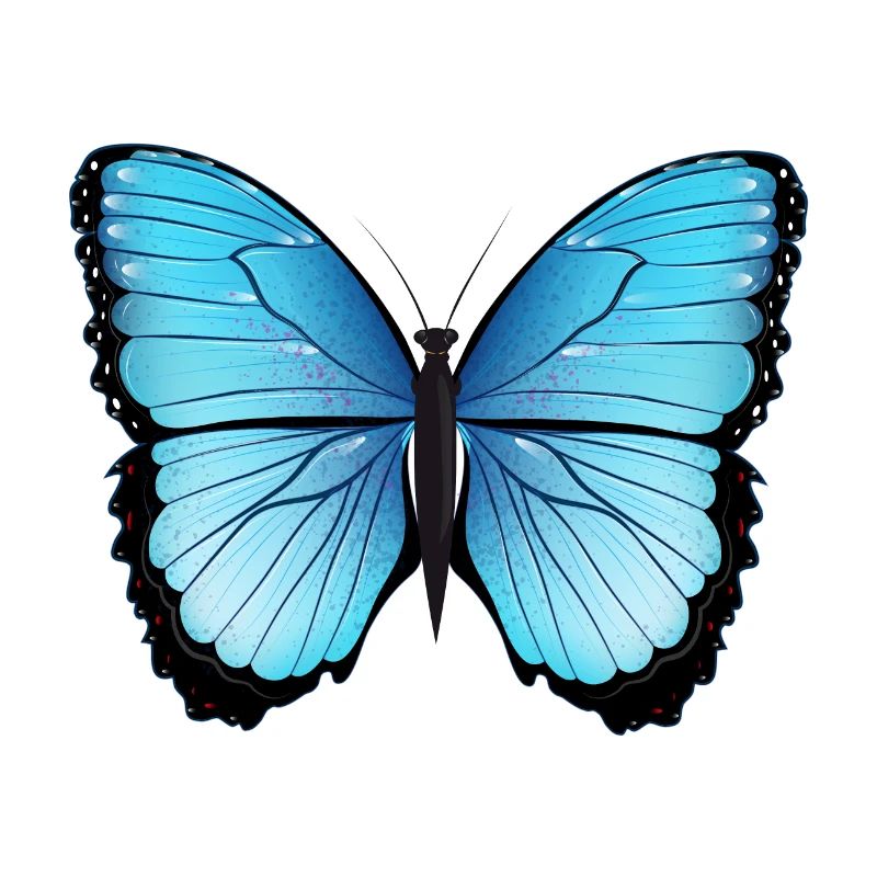 papillon bleu dessiné à la main et coloré