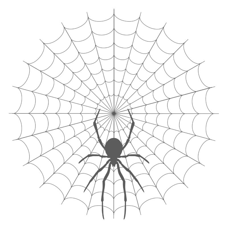 Spinnennetz Silhouette