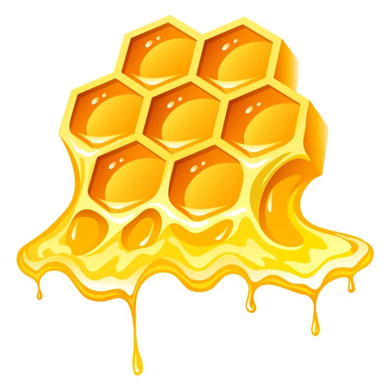 honey, beekeeper, beekeeper