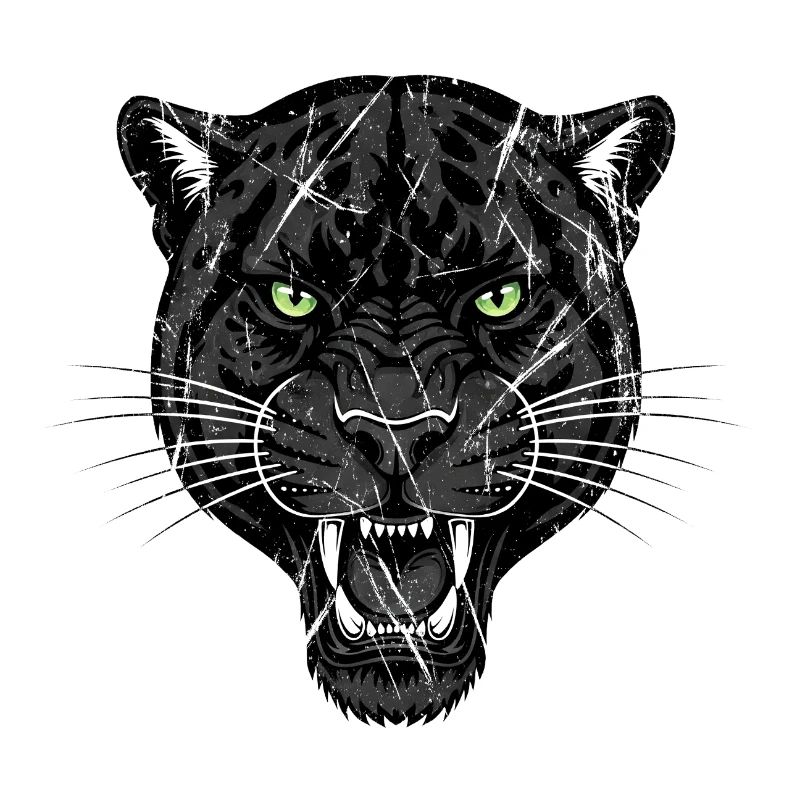 Panter