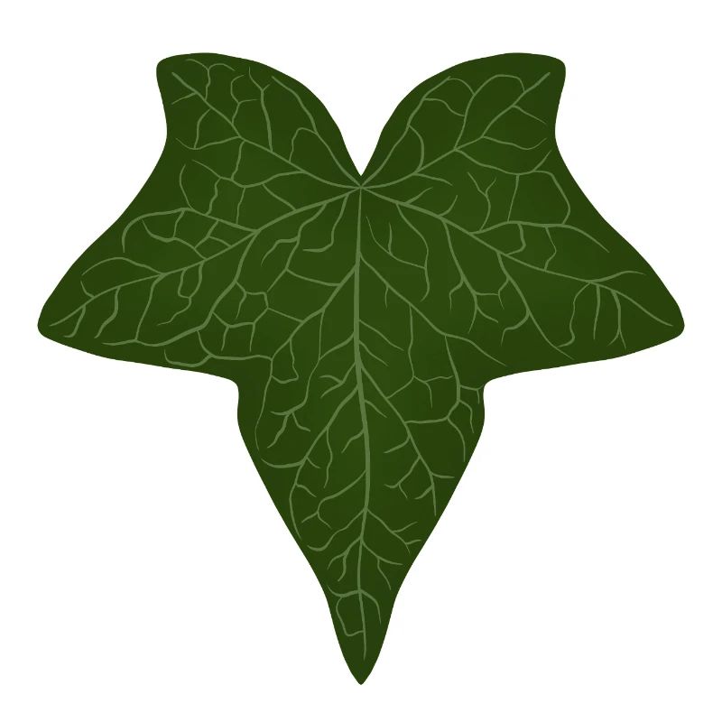 Elegant Green Ivy Leaf Pattern