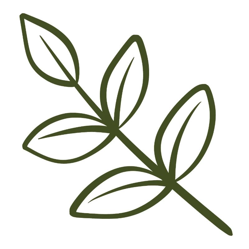 Leaf Line Art