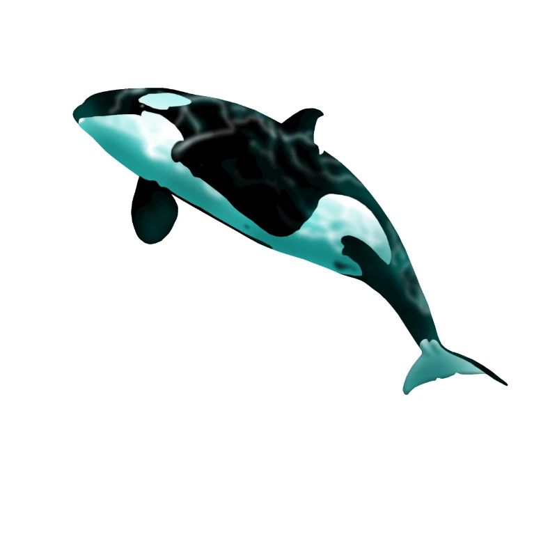 Orca