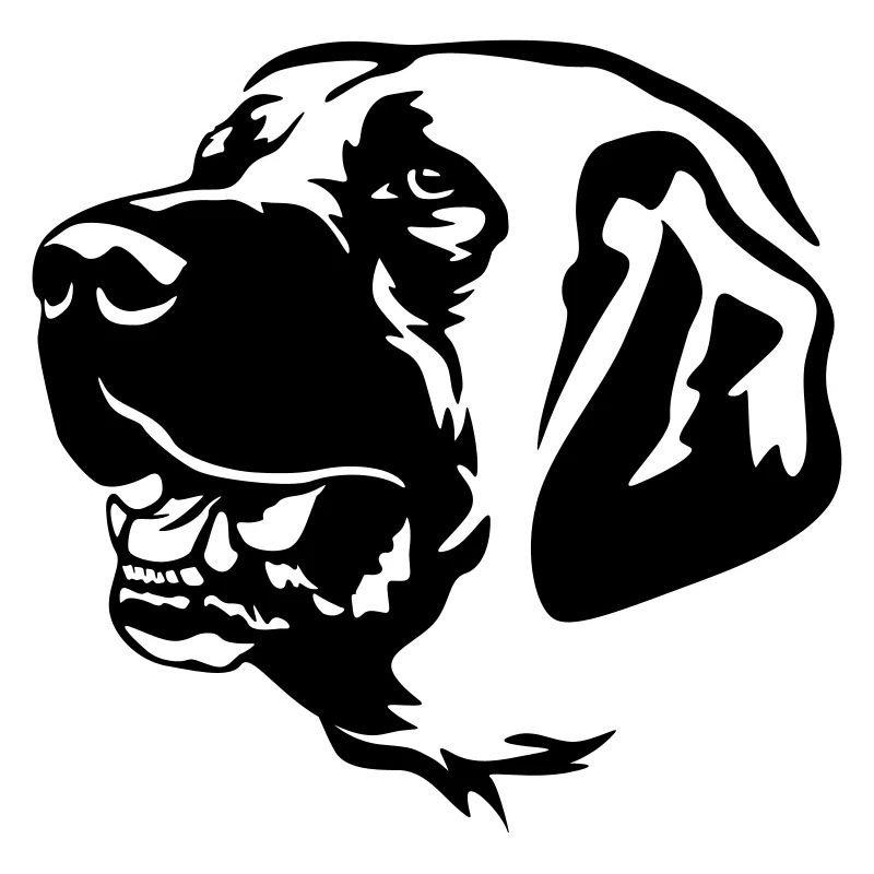 Kangal Tête