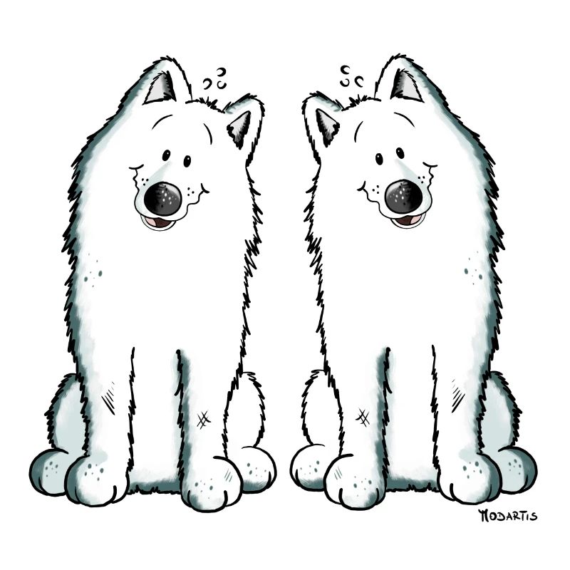 Samoyed Team - Samoyède