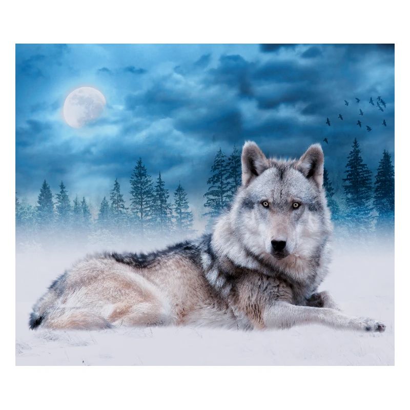 Lone Wolf / Wolves Wolf Moon Moonlight Wildlife