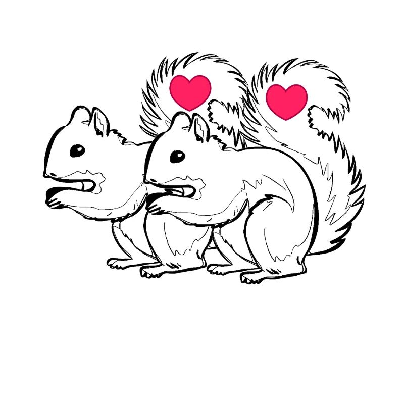 Eichhörnchen Paar Liebe Valentinstag verliebt