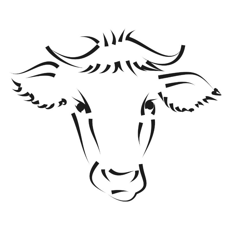 Vache Vaches